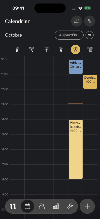 needlz calendar mockup from the current app reference in Figma, with sample appointments and French interface text